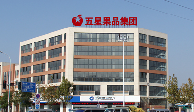 文化理念_關(guān)于我們_安徽五星果品有限公司